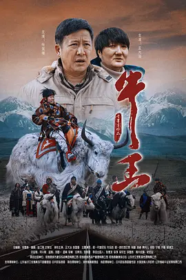 吊网